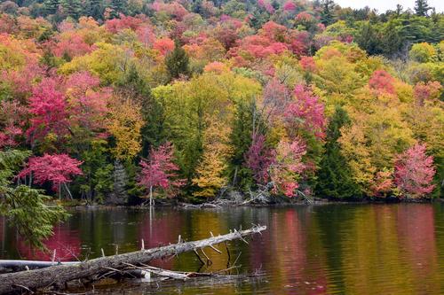 Canoe & Kayaking image