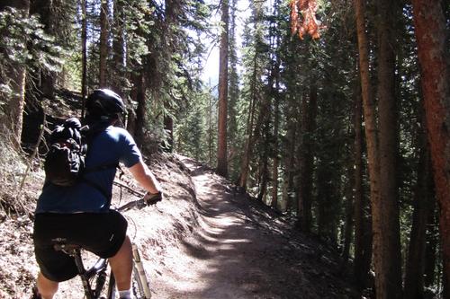 Mountain Biking/Scenic Riding.